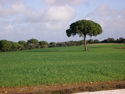 des Hauts du Barry - L'Andalousie