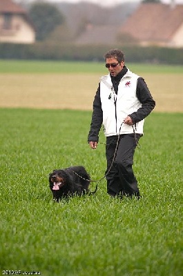 des Hauts du Barry - 3ème EXC pour A'Choupin's et pour Baxter à La Vacquerie (34)